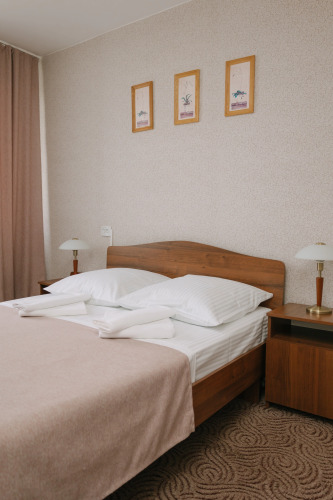 Фотография номера гостиницы Дружба