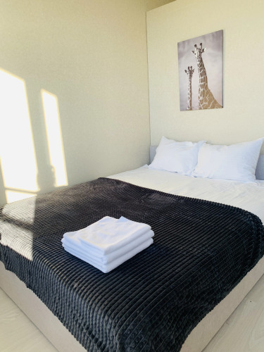 Фотография номера квартиры Апартаменты Просторная Студия в ЖК Румянцево-Парк