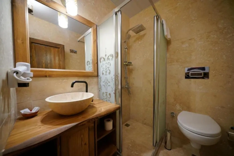 Standard Double room with garden view