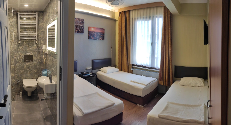 Standard Triple room with city view