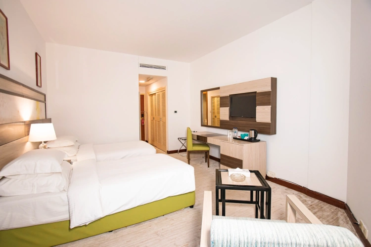 Deluxe Twin room