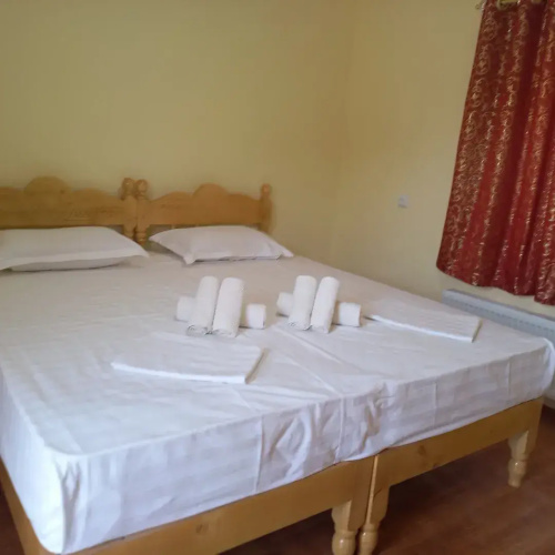 Standard Twin room with view
