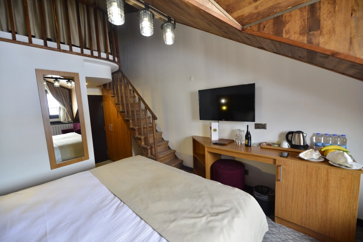 Standard Duplex room with view