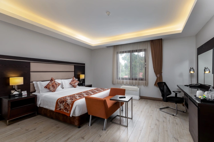 Deluxe Double room