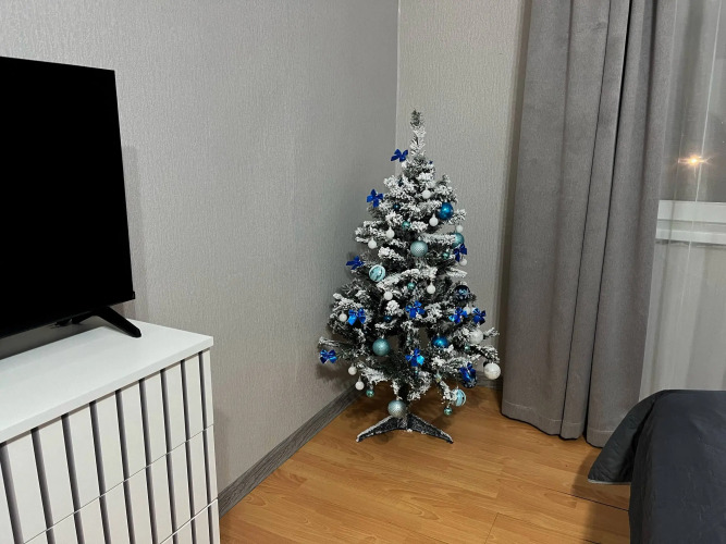 Фотография номера квартиры Квартира Видовая на легендарный Машук Сев Кав ТВ