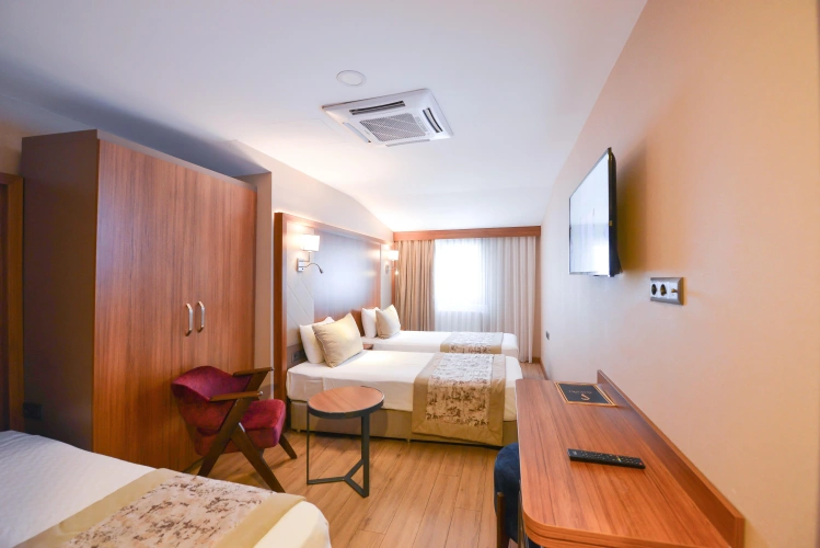Business Triple room with view