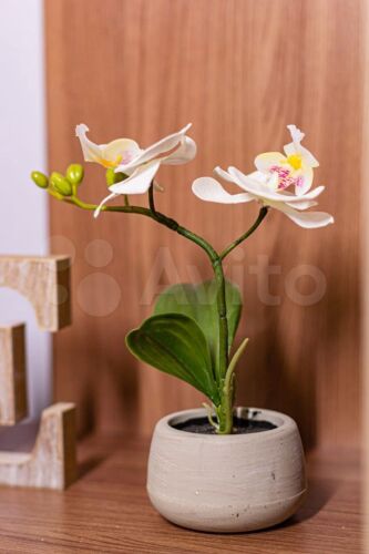 Фотография номера мини отеля Pastel на Мире