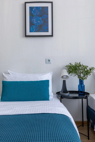 Фотография номера квартиры Квартира Живи в Песочном Студия 1+1