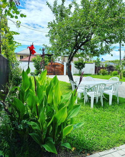 Beliy Dom Private House