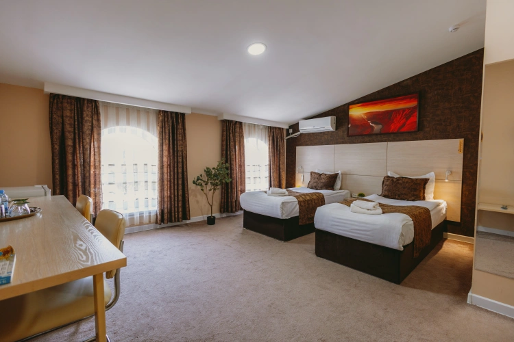 Standard Twin room with view