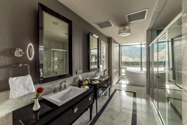 Borjomi Likani Hotel