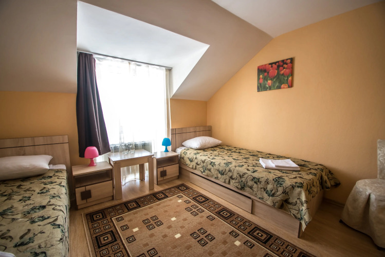 Фотография номера гостиницы Золотой лев