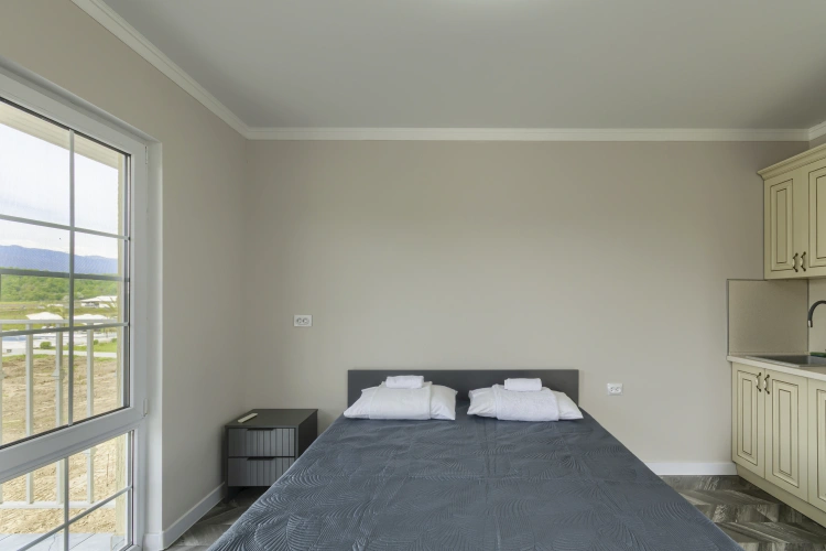 1 Bedroom Apartment with balcony and with mountain view