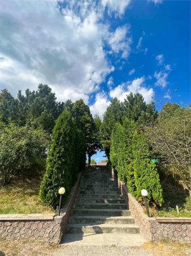 Фотография номера базы отдыха Фазенда 