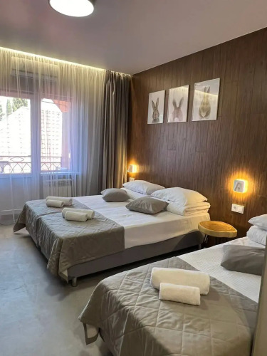 Фотография номера гостиницы Юнона