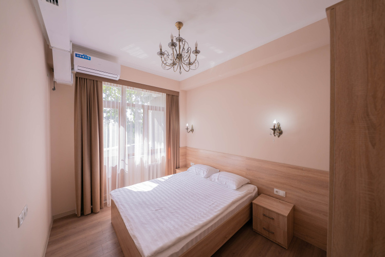 Standard Double room with balcony and with view