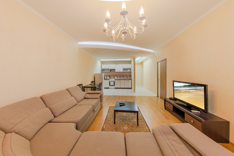 1 Bedroom Apartment with balcony and with view