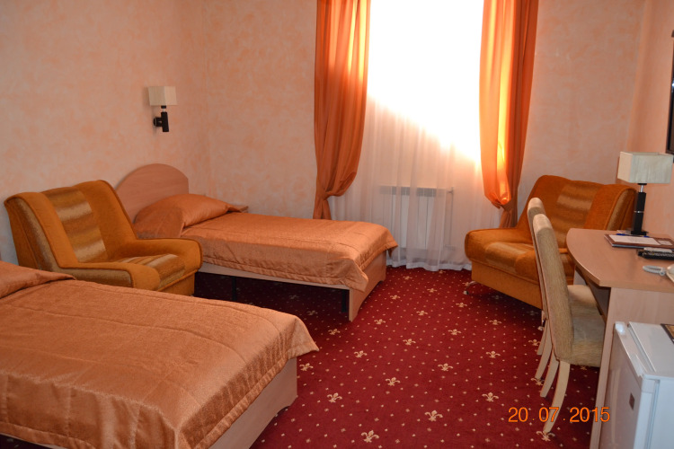 Фотография номера гостиницы Дружба