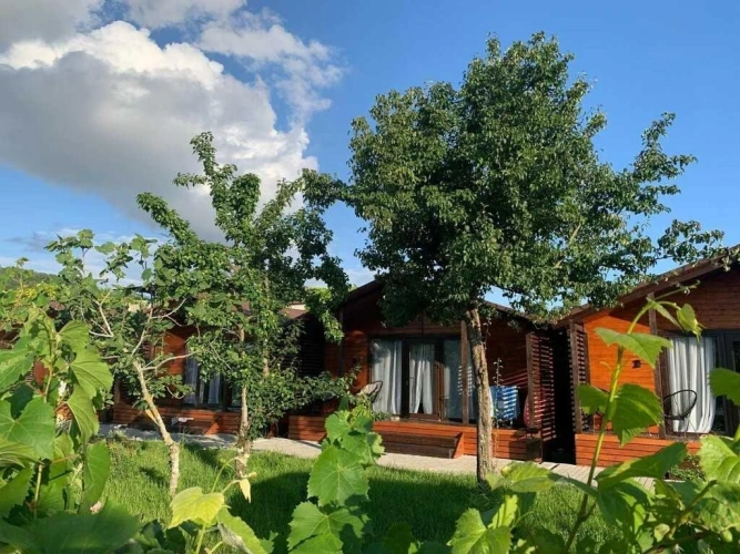 Quadruple Cottage with view