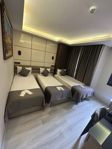 Standard Triple room with city view