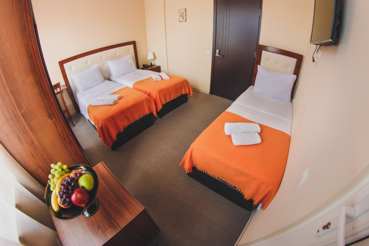 Standard Triple room