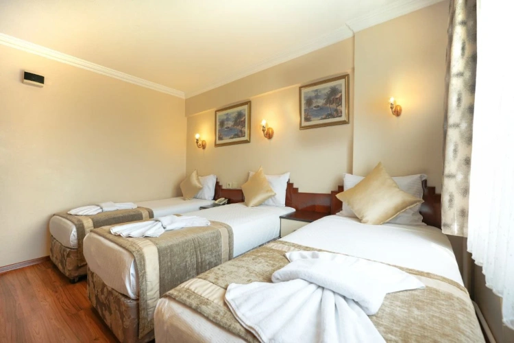 Standard Triple room