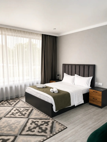 Dosman Hotel - Bisjkek