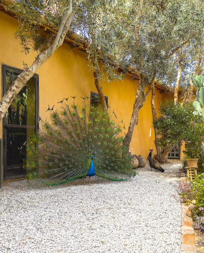 Hotel Dar Al Hossoun