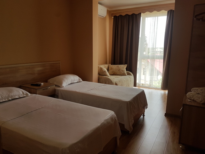 Standard Double room with balcony and with view