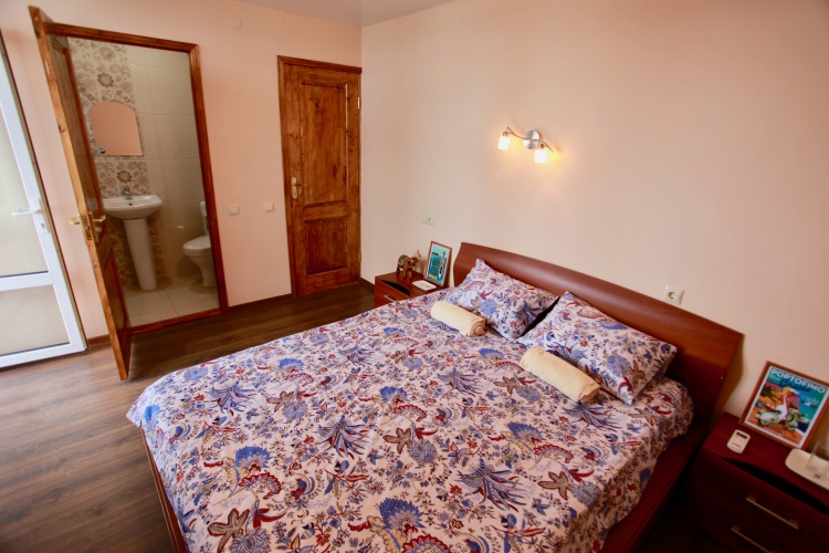 Standard Double room with balcony and with view