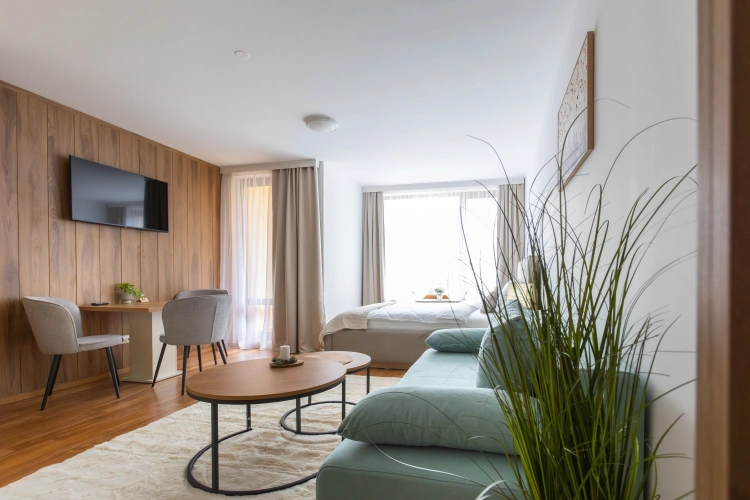 Deluxe Apartment
