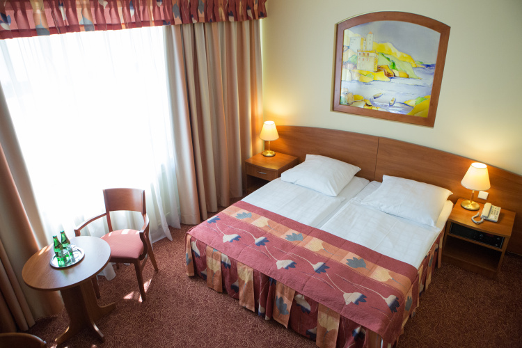 Standard Double room with view