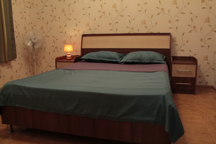 Standard Double room with balcony and with view