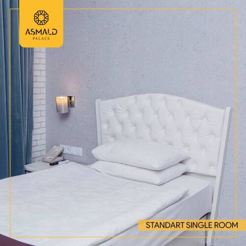 Фотография номера гостиницы Asmald Palace