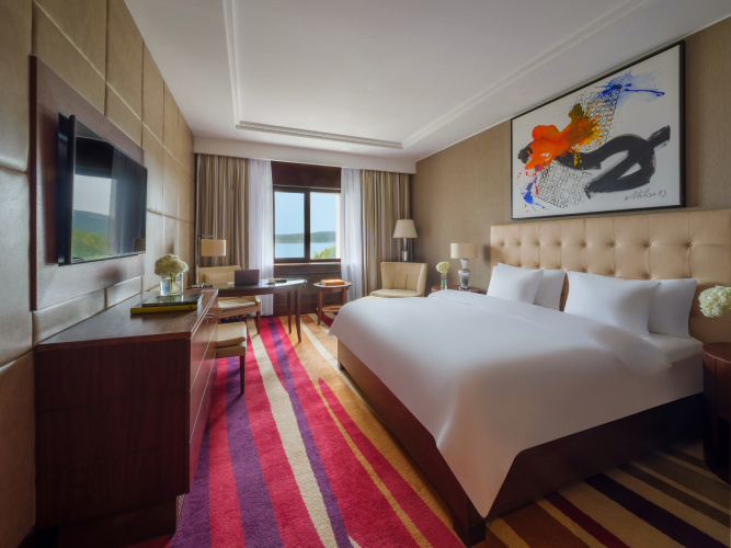Deluxe Double room with forest view