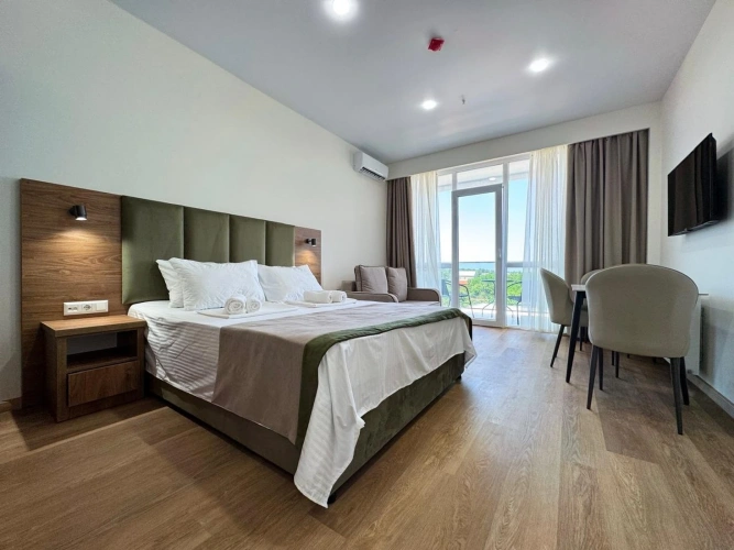 1 Bedroom Apartment with balcony and with view