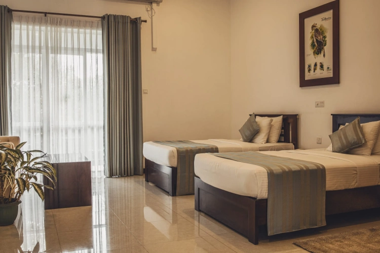 Deluxe room with view
