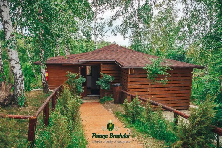 Фотография номера гостиницы Poiana Bradului