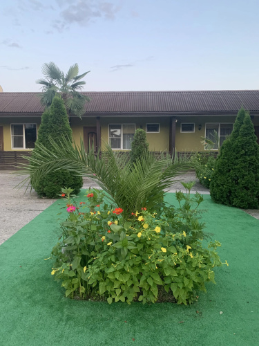 7 Palm Apartments