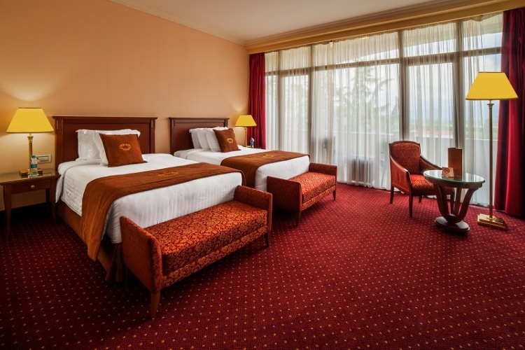 Фотография номера гостиницы Georgia Palace Hotel