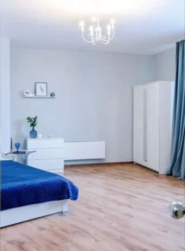 Фотография номера квартиры Апартаменты Двухкомнатные Apart Seasons Белинского 177/3