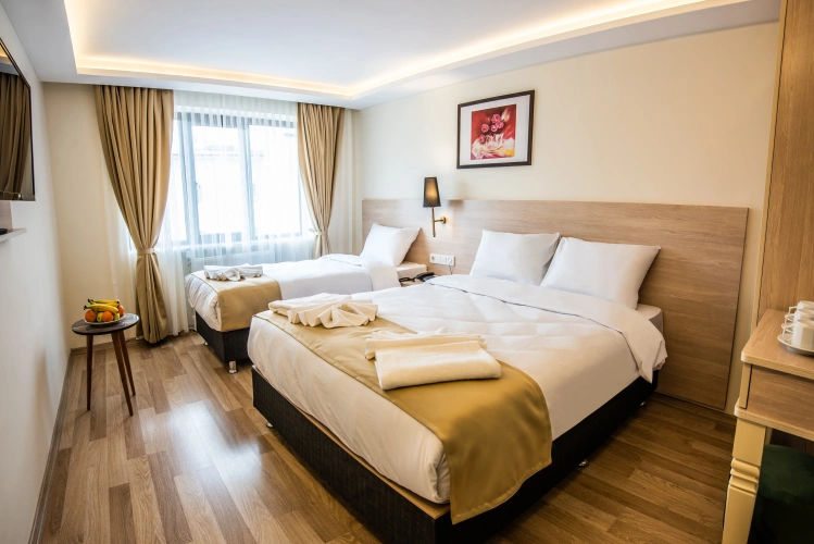 Standard Triple room