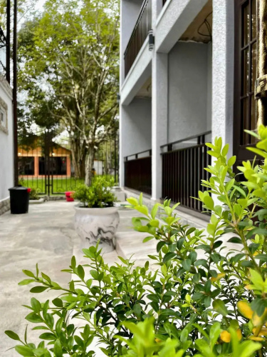 Guest house "aҧshӡa"