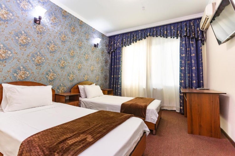 Standard Twin room with view