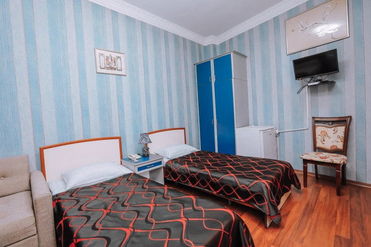 Superior Twin room with garden view