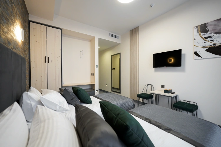 Standard Twin room with balcony and with city view
