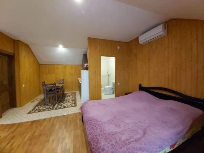 Attic Studio with city view