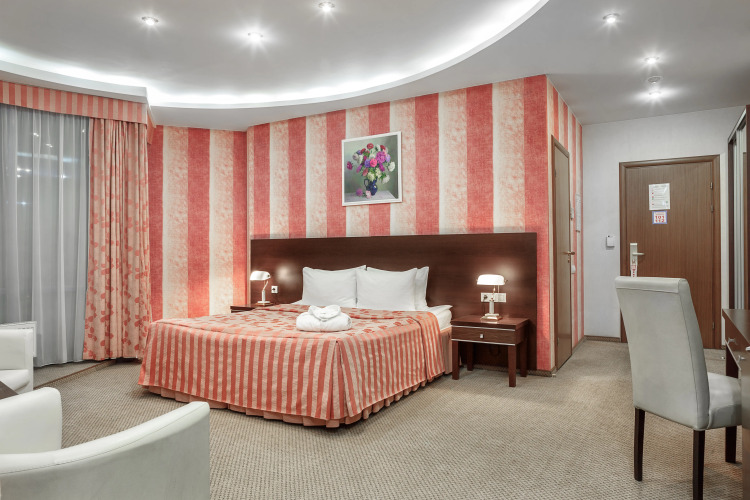 Фотография номера гостиницы Николь бизнес-отель