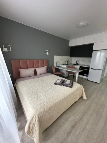 Фотография номера квартиры Апартаменты Пыльная Роза