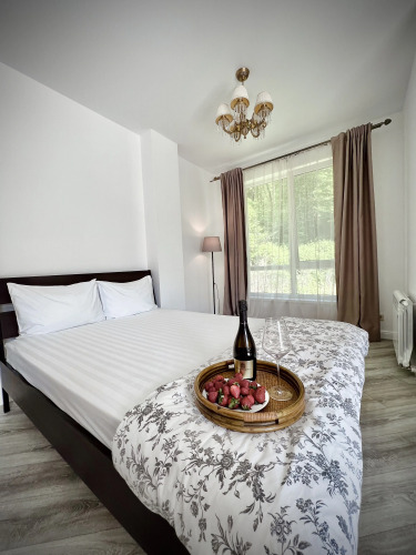 Фотография номера квартиры Апартаменты Курортная жизнь около Национального парка 204